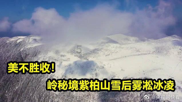 市场潜力可观,LV推出首个男士高级珠宝系列