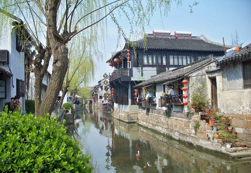 自我调养一年后,血管斑块消失!医生:关键是做好这四件事!